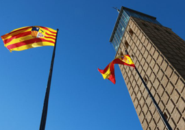 Contactar con la Cámara