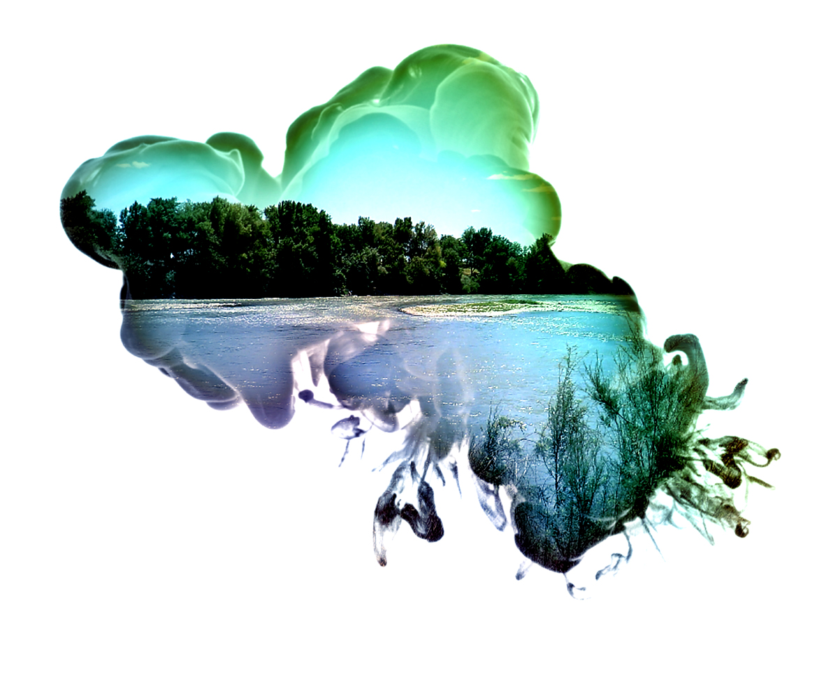 Ayuntamiento, Cámara de Comercio y Nueva Cultura del Agua impulsan un seminario internacional sobre el agua