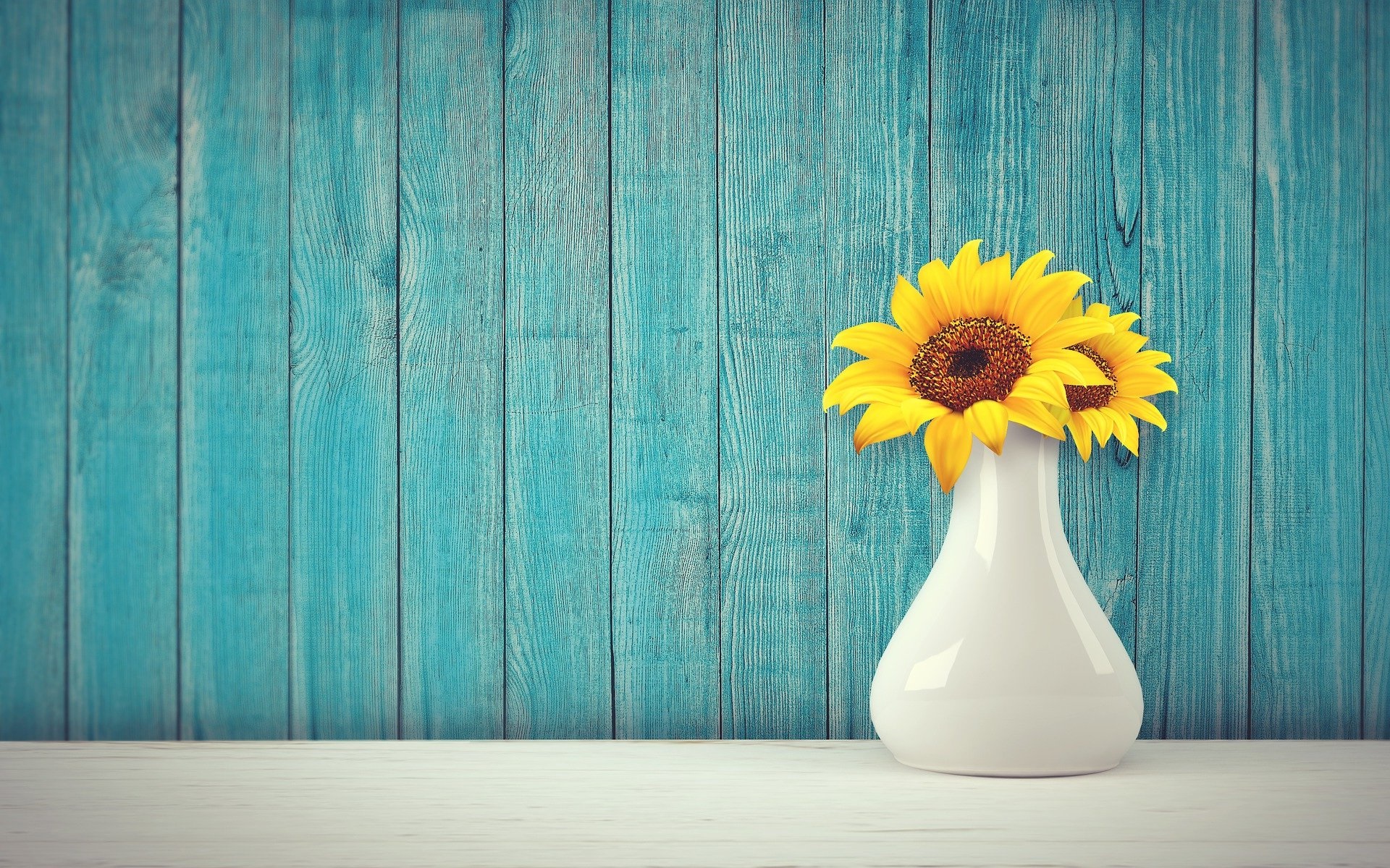 Mariano Barbed Artigas presidente de Acomza y responsable de la firma Mariano Barbed