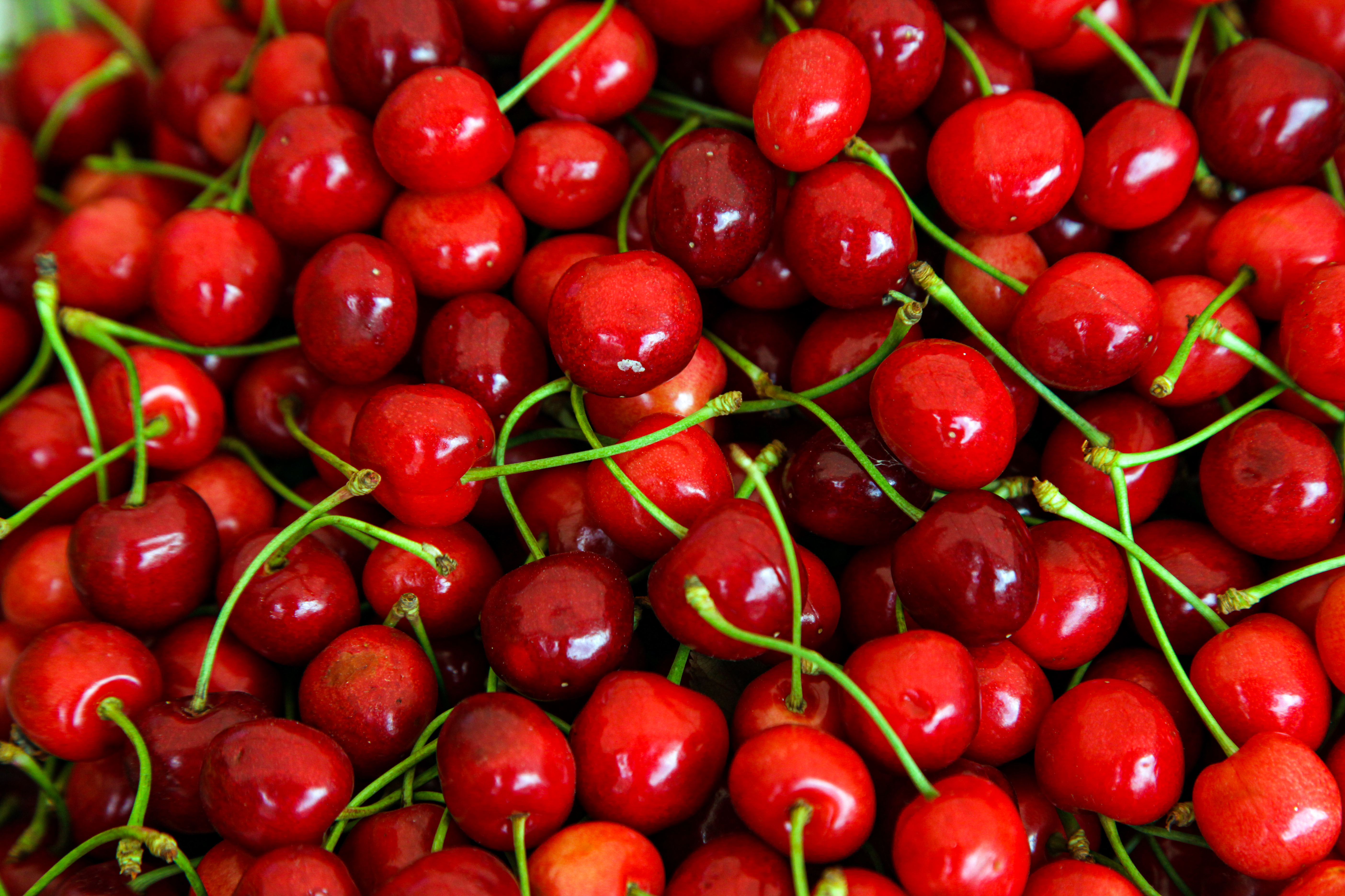 Menchu Guerrero, CEO en Orchard Fruit 